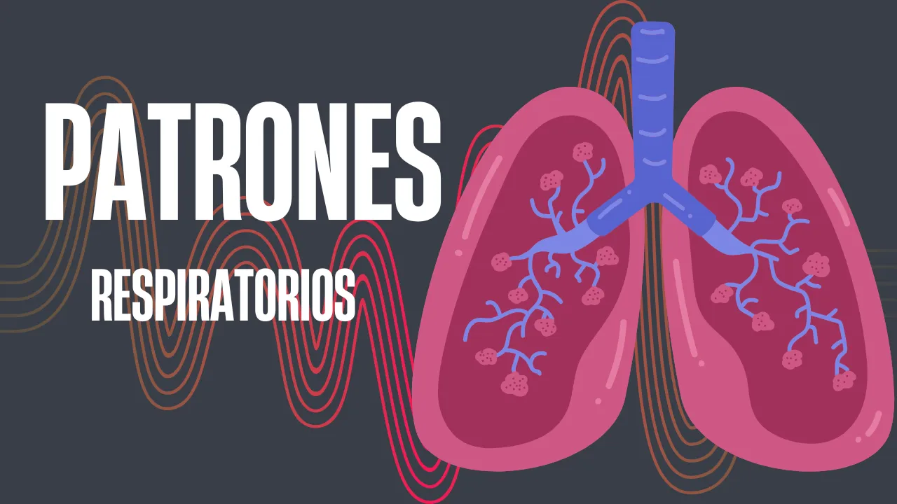 Píldora: Patrones respiratorios explicados en minutos
